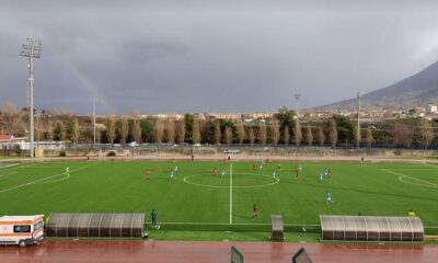 Napolistadiocercola