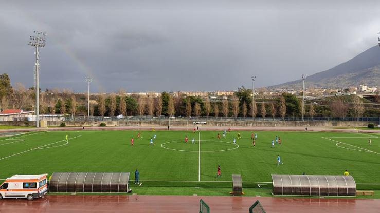 Napolistadiocercola