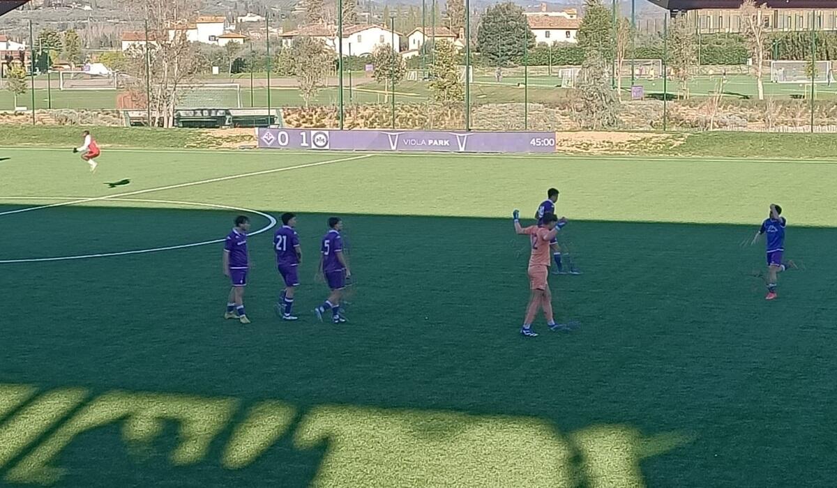 Fiorentina Viareggio Cup