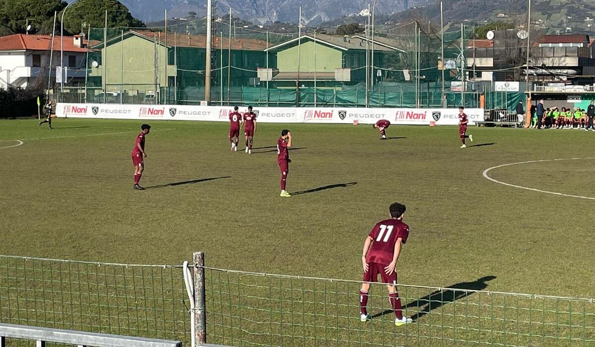 Primavera 1 Empoli Torino dove vederla