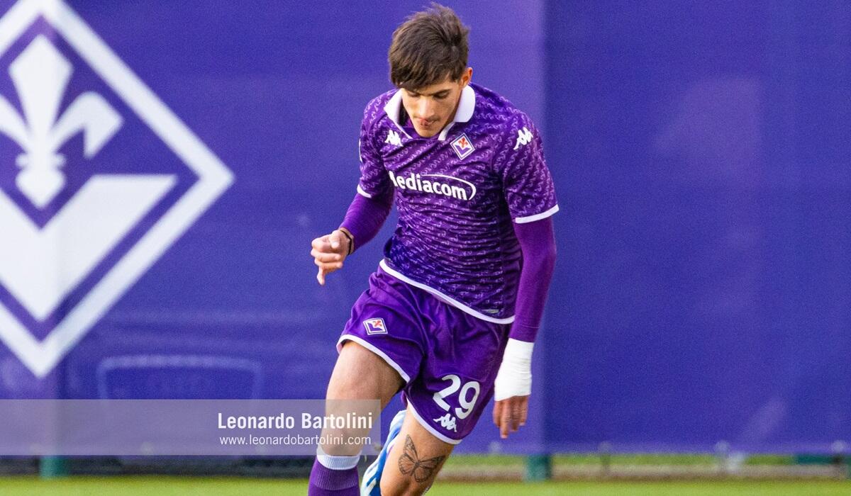 Niccolò Fortini, Fiorentina Primavera