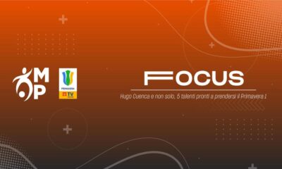 Focus grafica MP