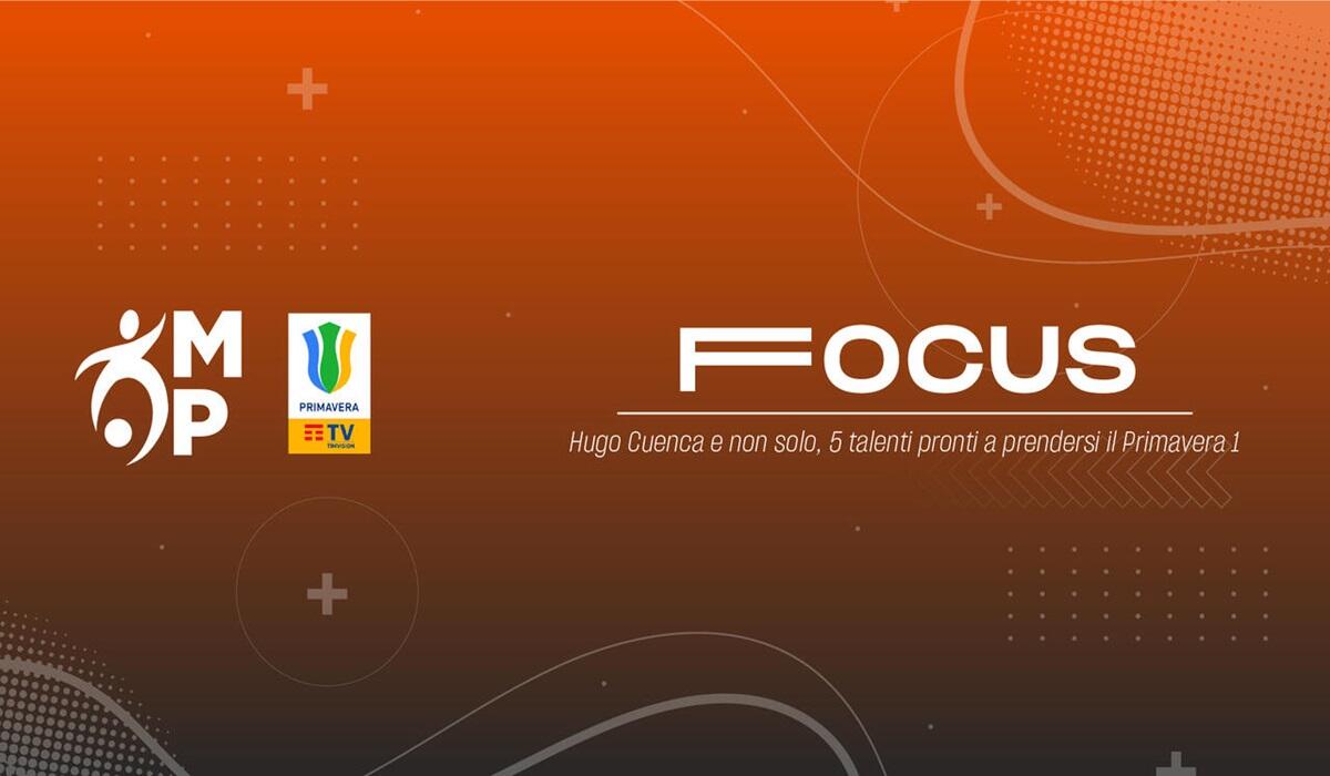 Focus grafica MP