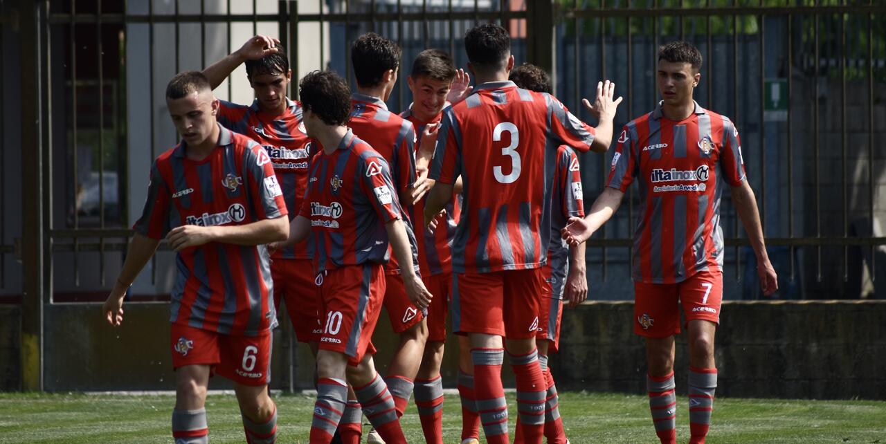 Un'esultanza della Cremonese: foto Luca Bozzetti