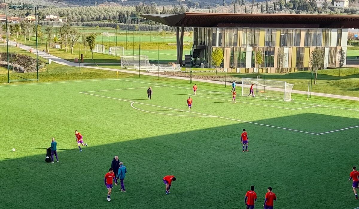 Fiorentina U18, Viola Park