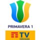 Logo Primavera 1