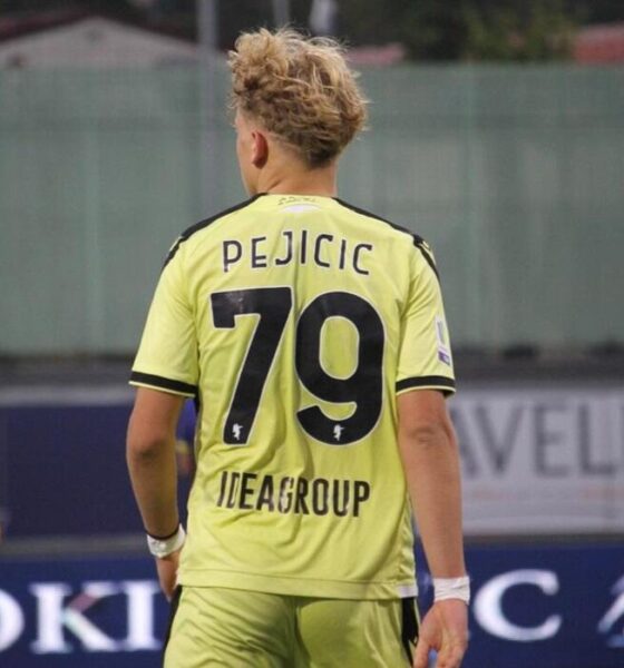 Pejicic Udinese