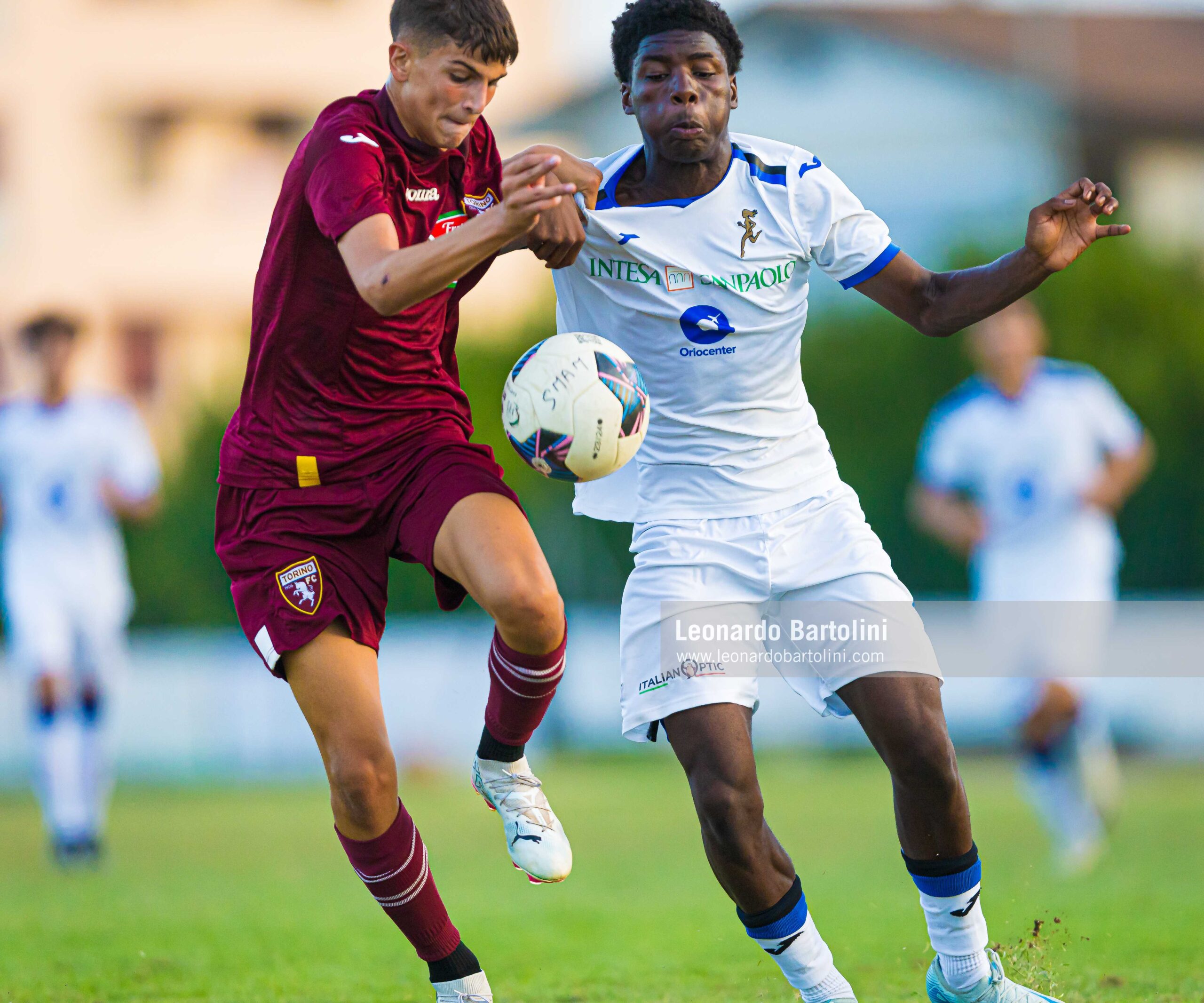 Trofeo Romano Fogli